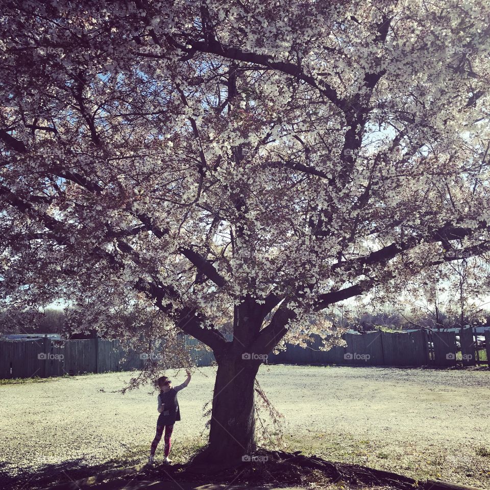 Girl with blooming tree in spring 