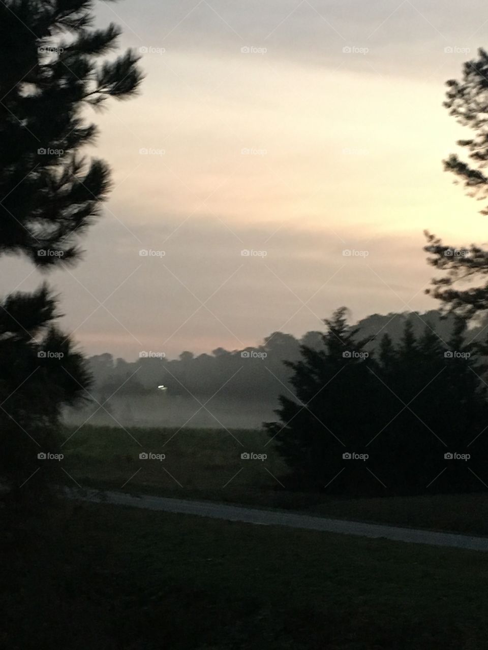 Foggy dawn morning 