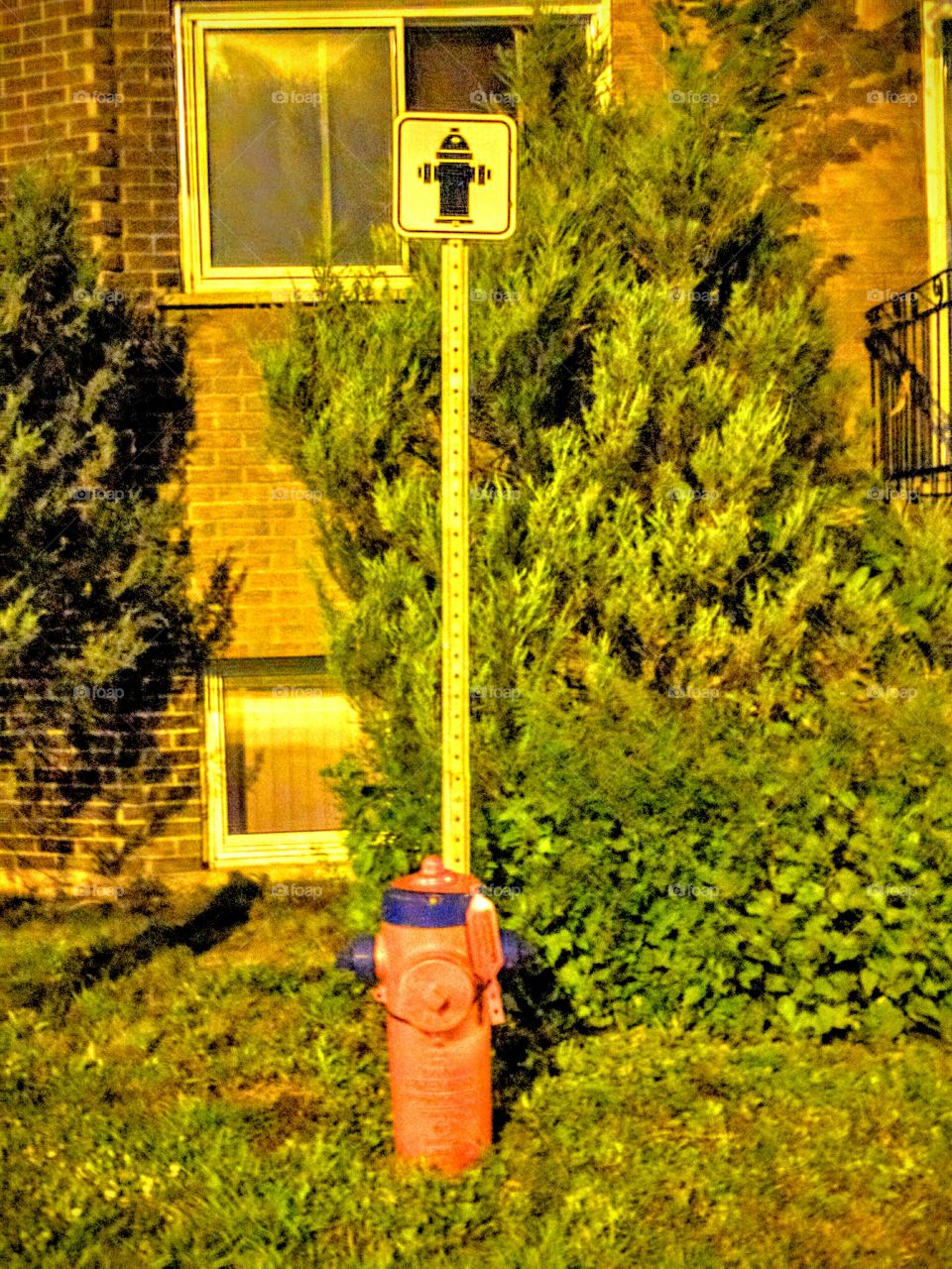 Fire Hydrant