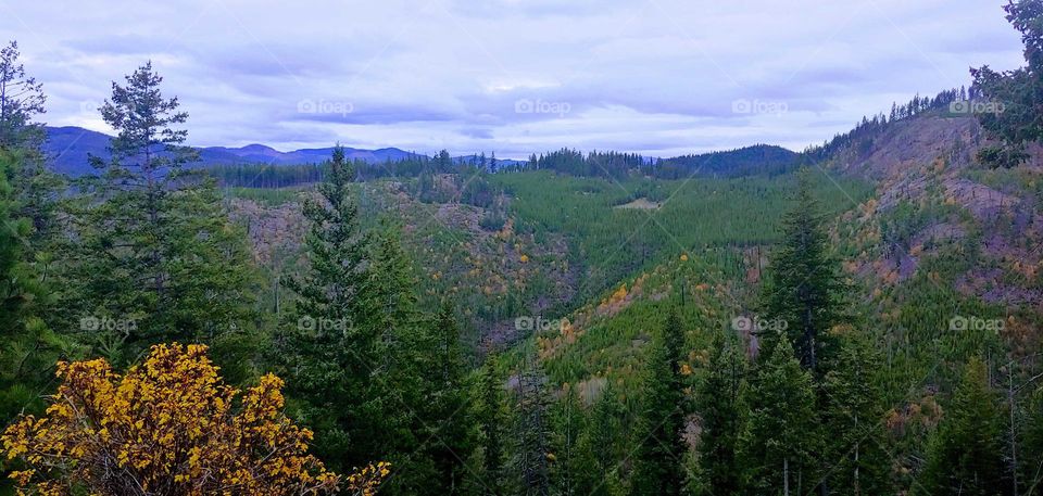 view in the mountains