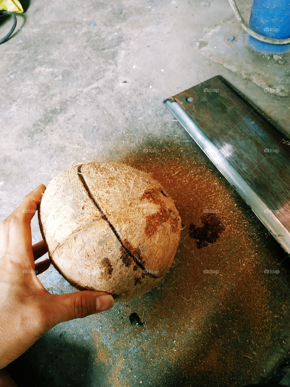 making a coconut bowl