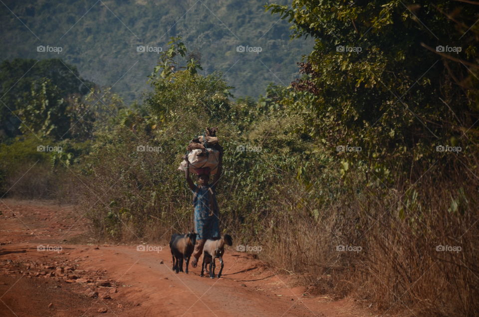 tribal village life