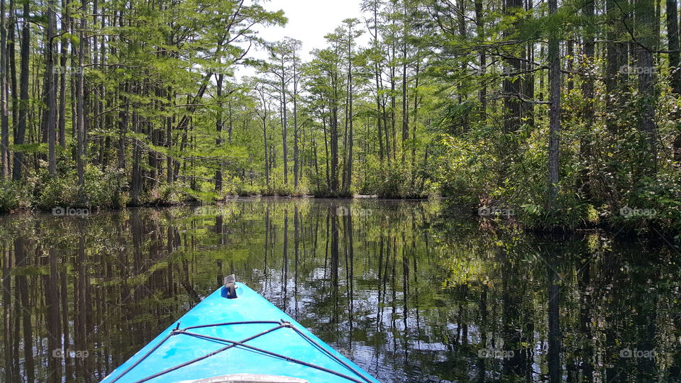 kayaking the swamp