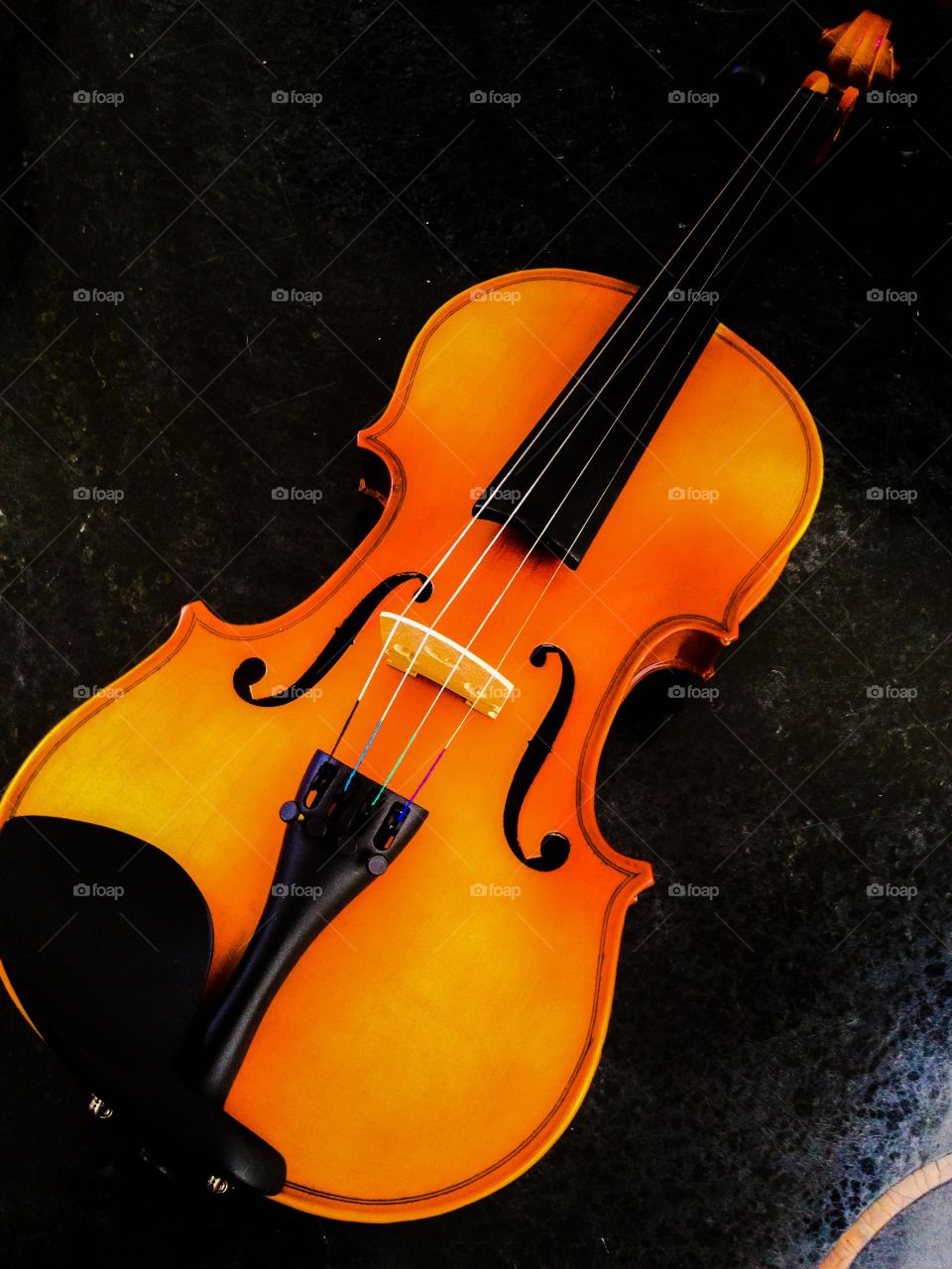 Violin