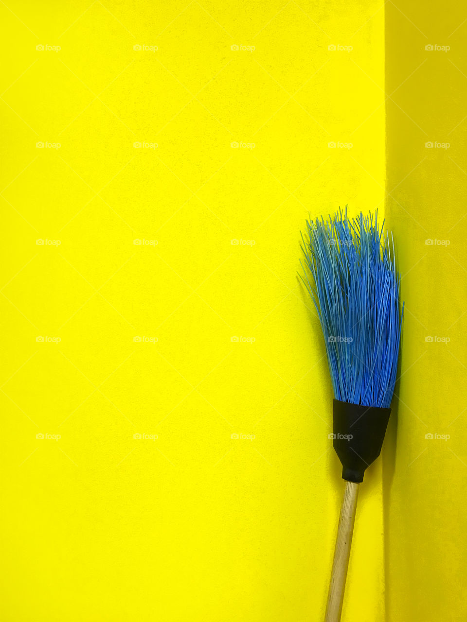 Blue broom 