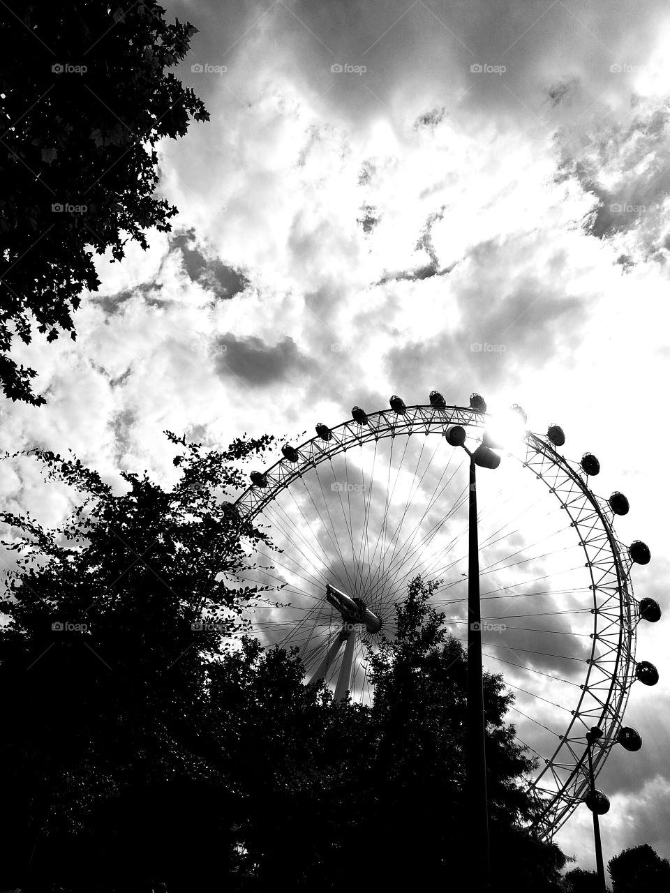 London Eye Black And White