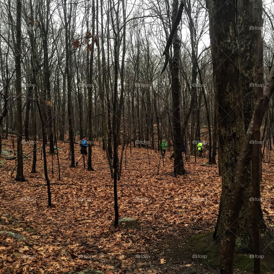 Pouring rain. Mud-filled trails. Tree branches falling. Wind roaring. Perfect day for a long run. 