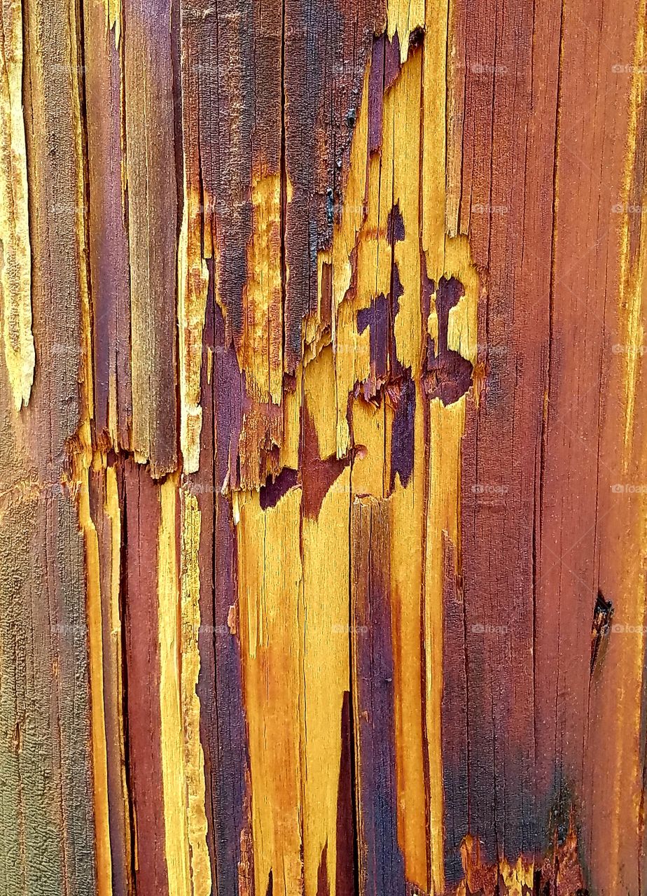 old telephone pole