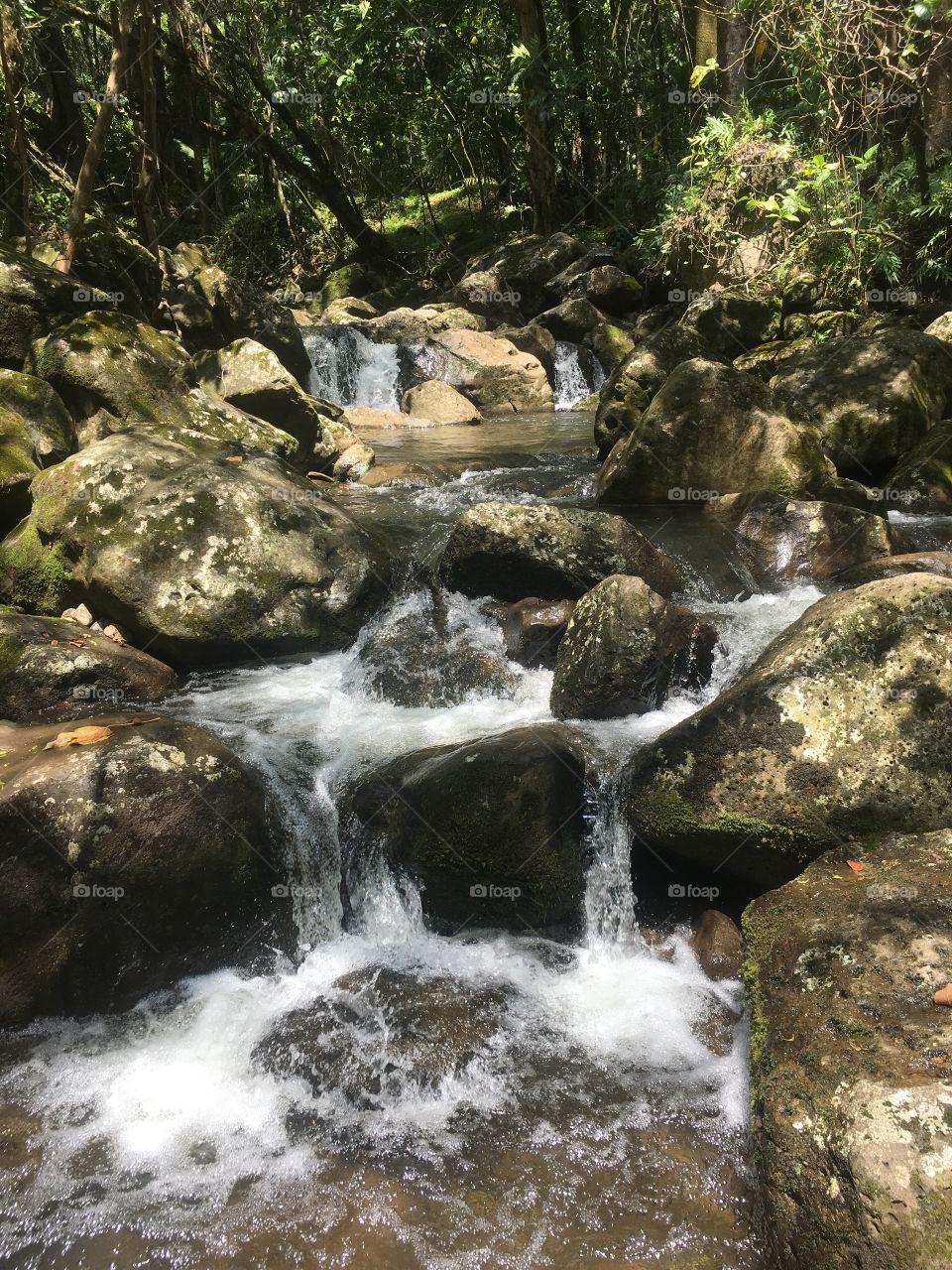 Hike to Halawa Falls