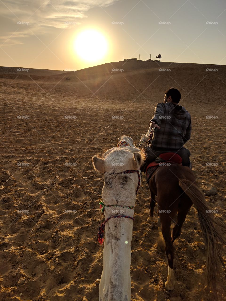 being lead into the desert on a camel in Cairo, Egypt