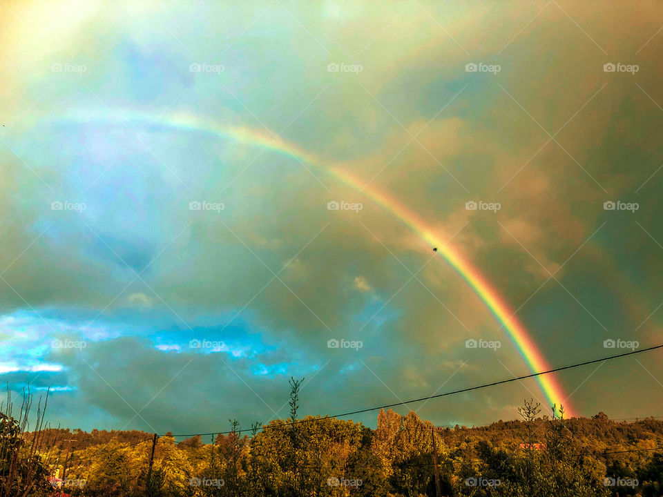 Hyper real image of a double rainbow over trees