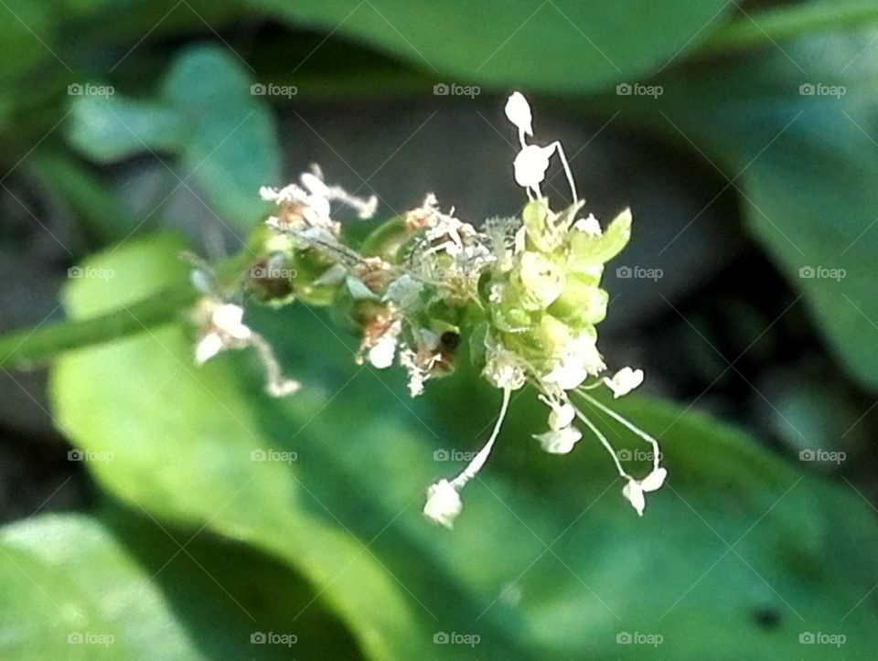 Angels are in the details