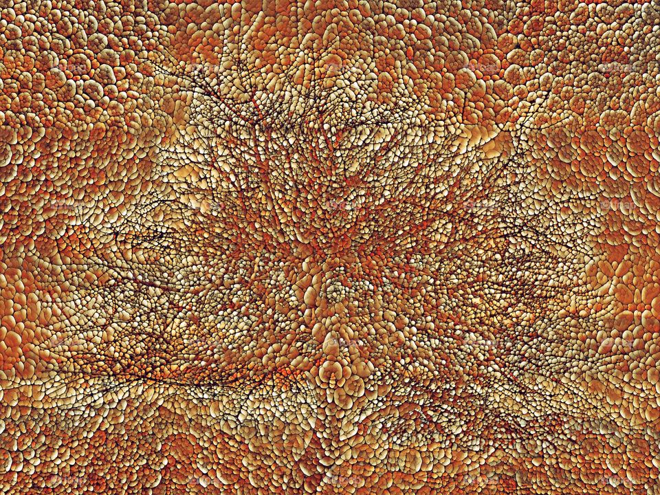 tree 'stone mosaic'