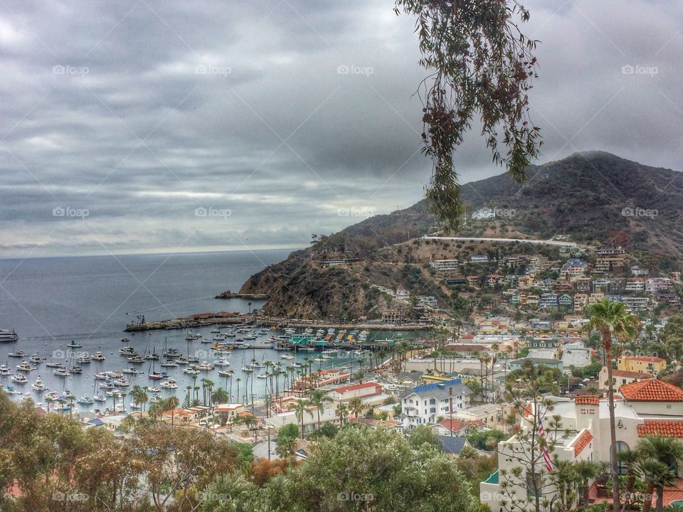 Catalina Island view from above