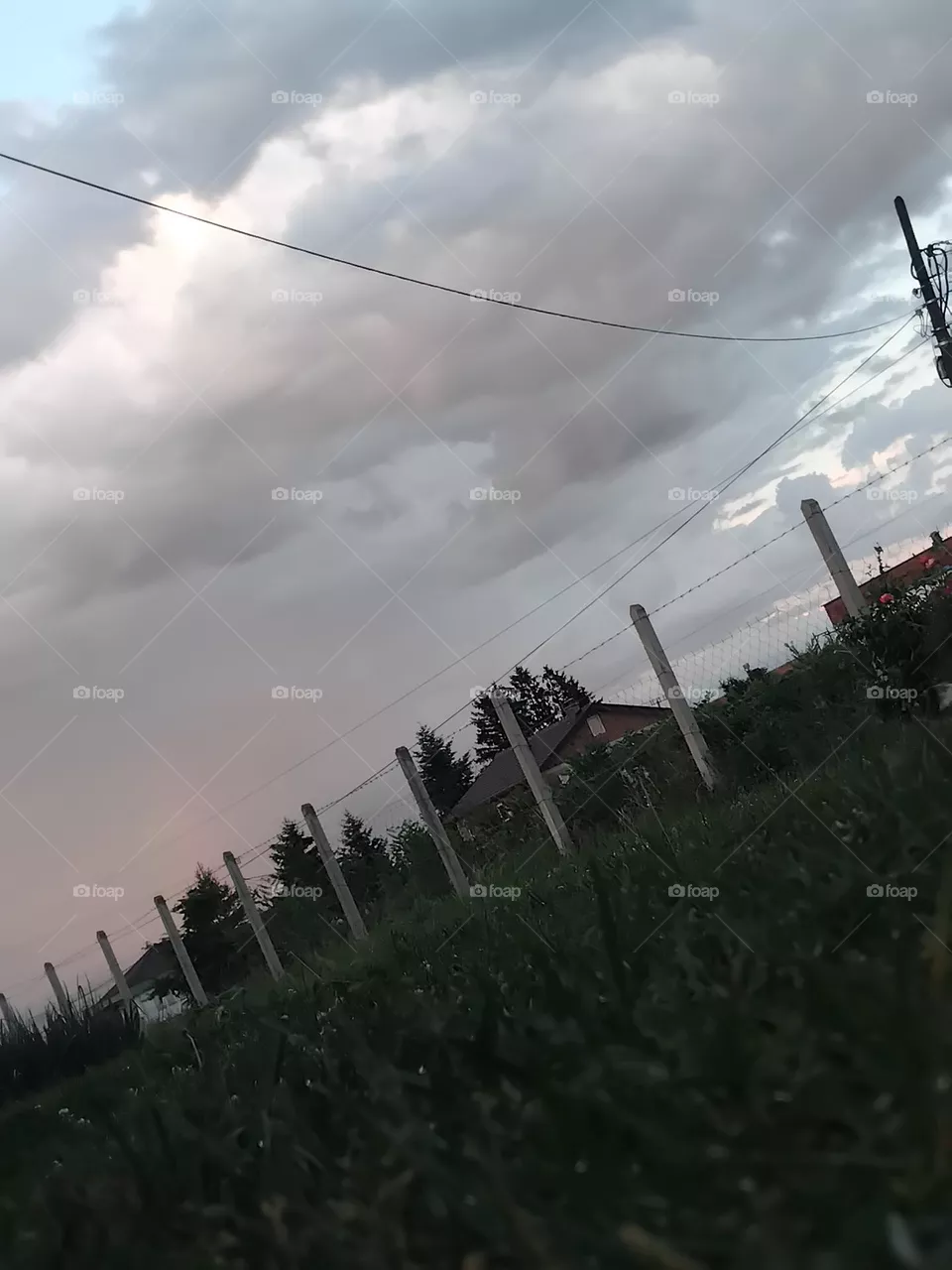 after rain