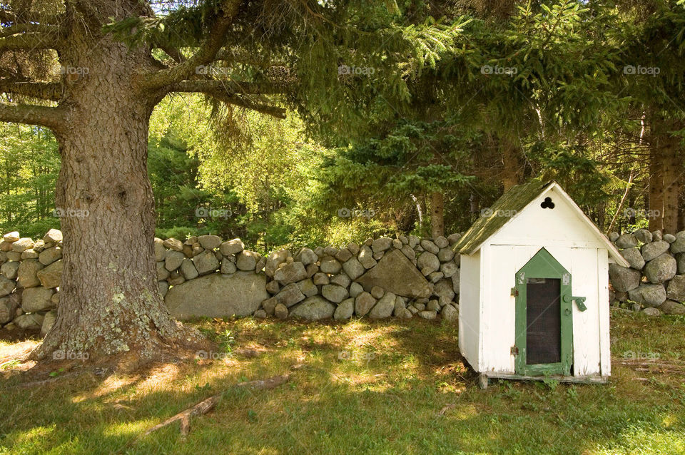 Doghouse sits by a tree in front of the Stonewall