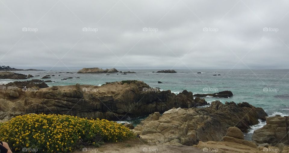 Pebble Beach, 17-Mile Drive 
Monterey and Carmel, California