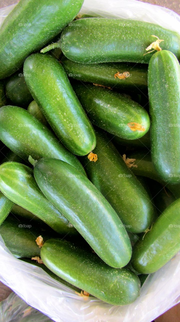 Fresh cucumbers