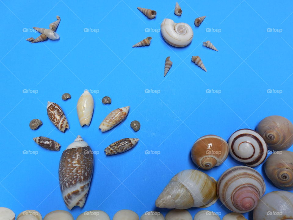 Seashell seashore artwork seagull sun tree beach waves made with clam cone spiral periwinkle