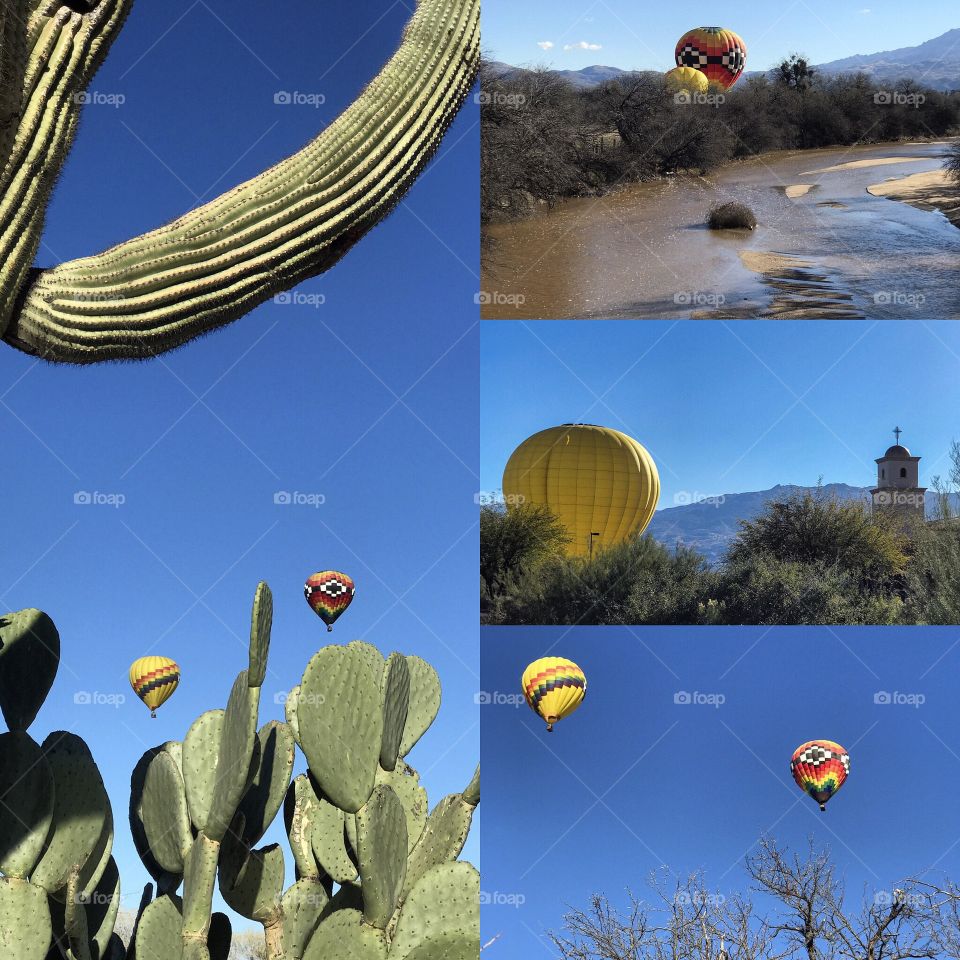 Fall Nature Landscape - Hot Air Balloons 