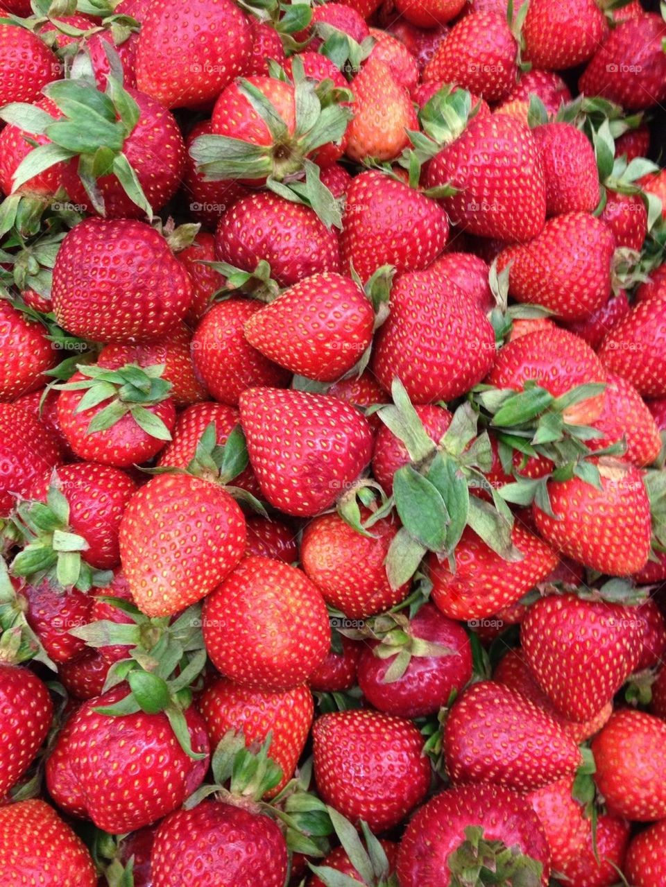 Fresh strawberries