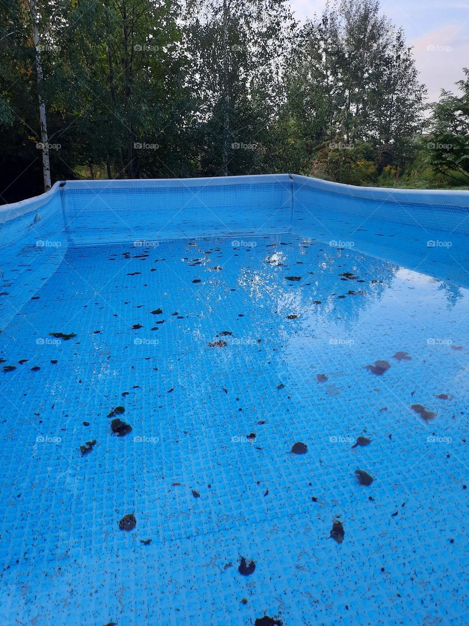 swimming pool in autumn