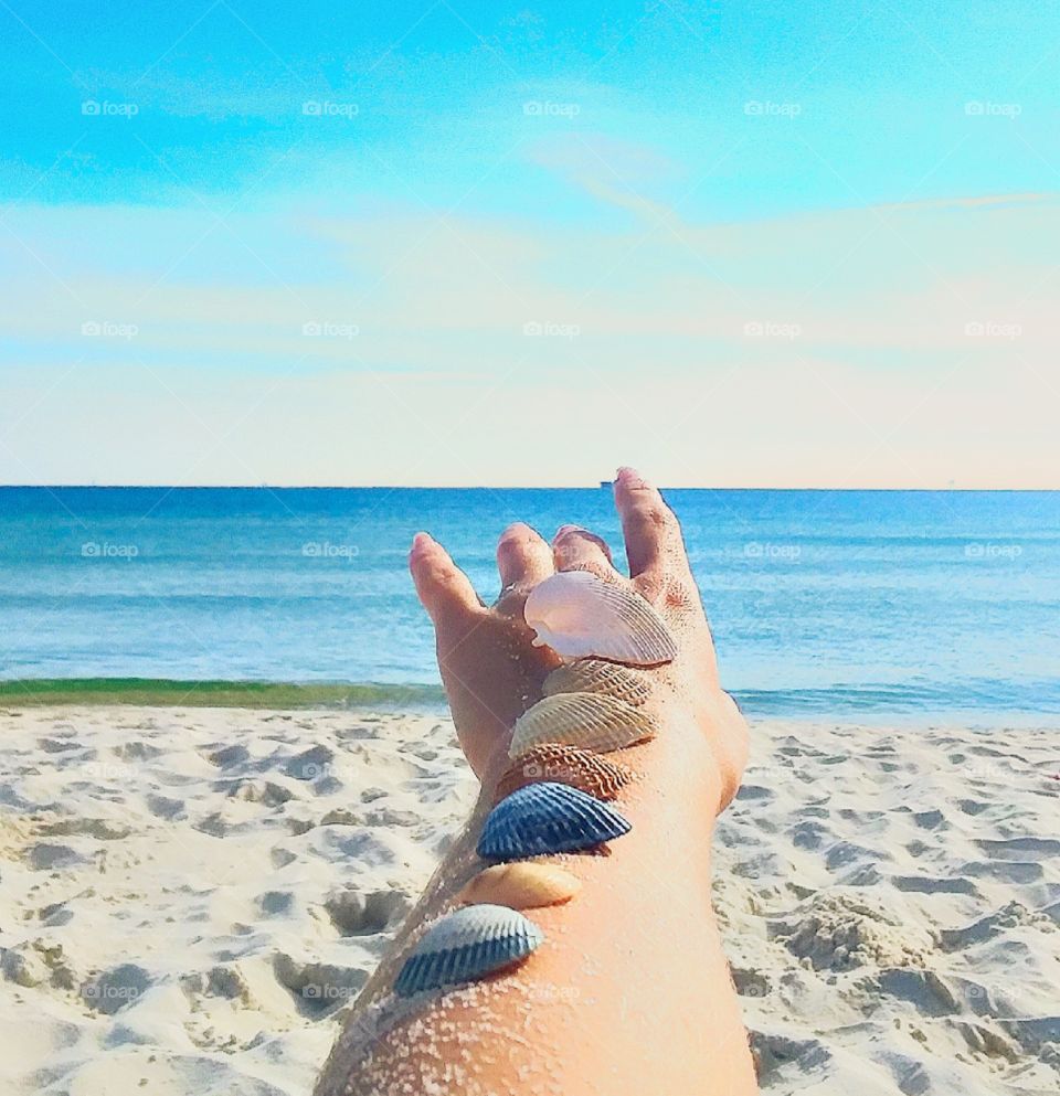 a girl pointing towards the ocean with a beautiful pattern of seashells delicately placed along her arm