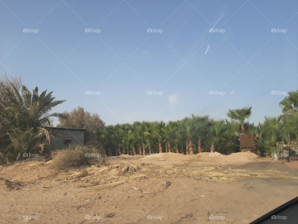 Please make me happy, I am poor, I need your help with support