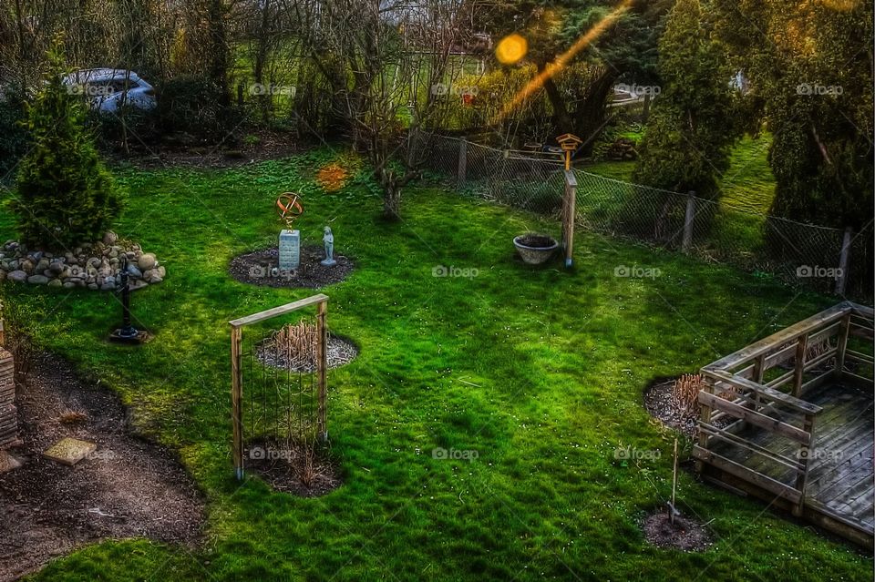 Garden, Grass, Nature, No Person, Tree