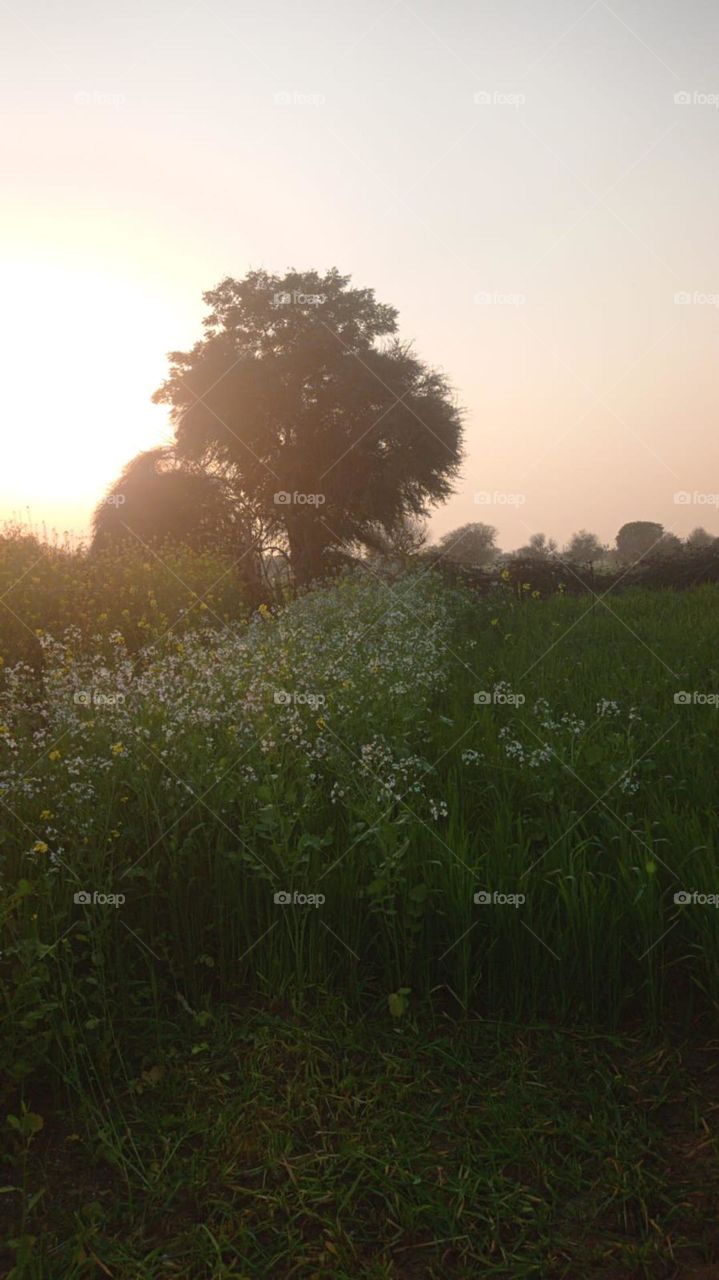 make the day your master piece today tomorrow never comes again