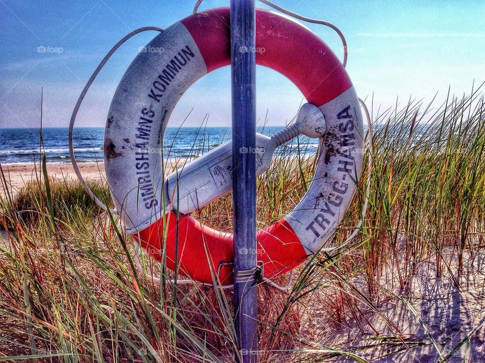 Alert at the beach