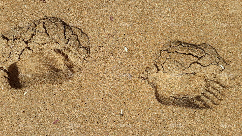 footstep in the beach
