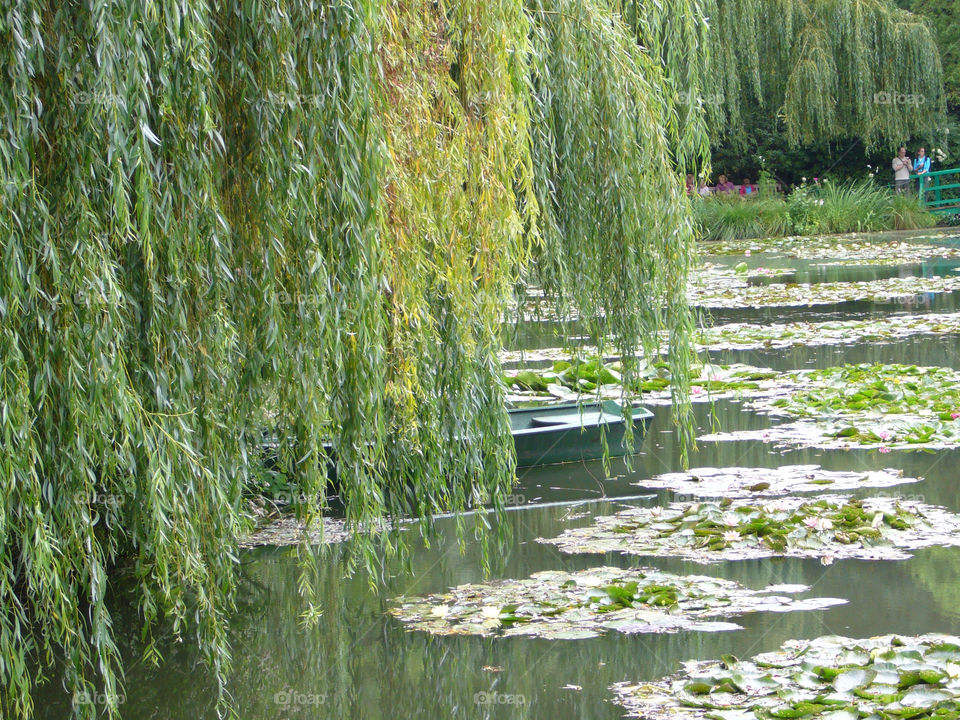 garden monet giverny by mos2566