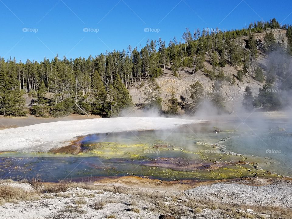 Yellowstone