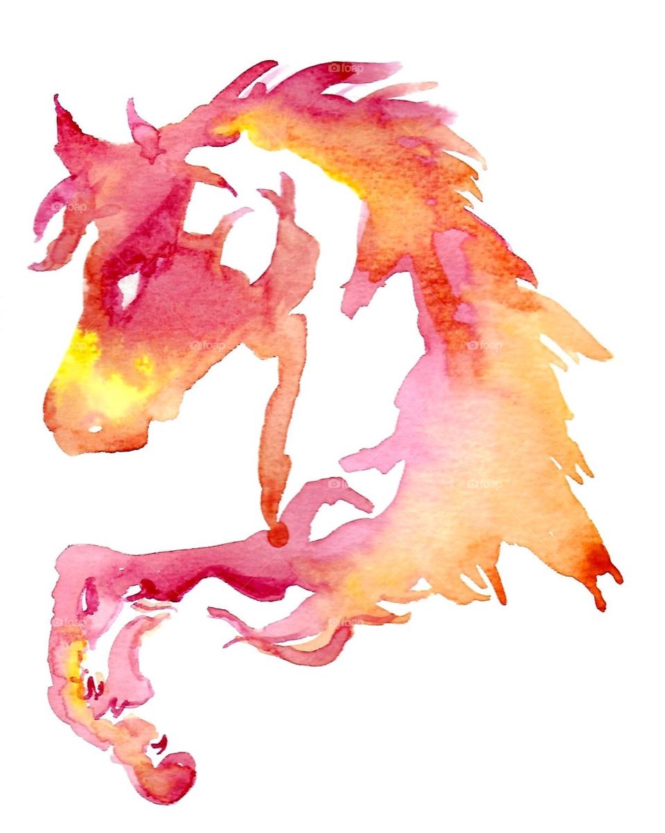 watercolor horse
