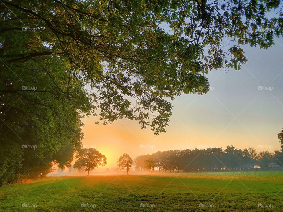 Golden glow through the morning fog over a lush green grassland landscape