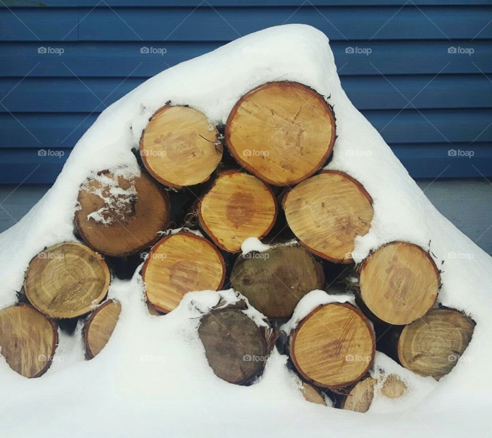 winter logs