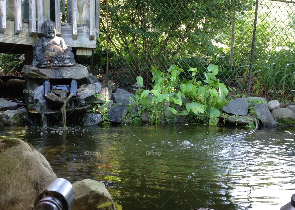 View of koi pond with waterfall, plants, rocks, Heron protective fencing, Buddha.