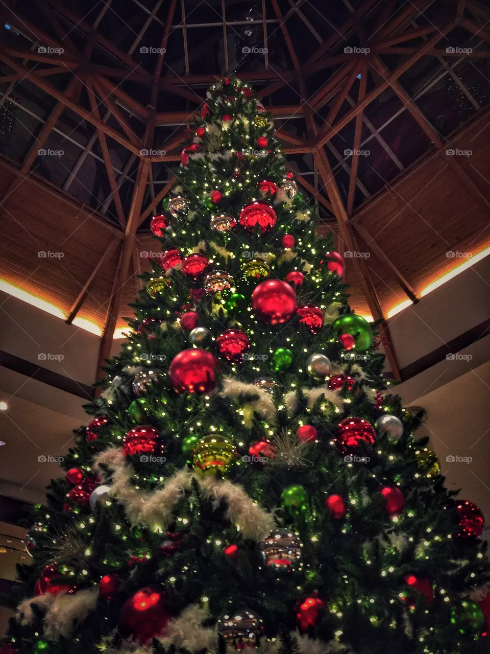 🎄