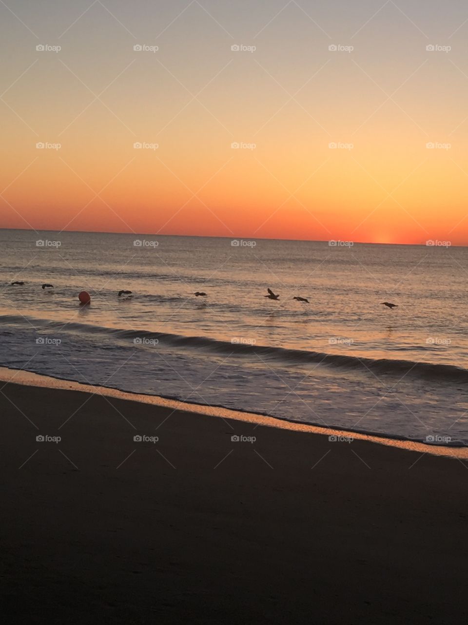 Beach, Sunset, Water, Sea, Ocean