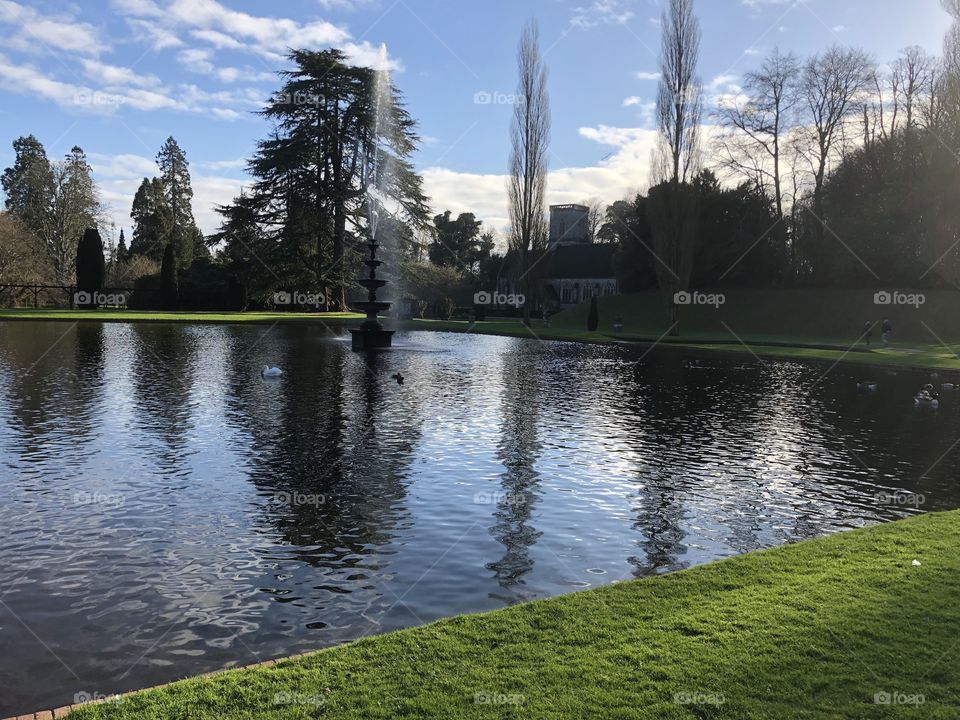 Bicton Park, East Devon. In Glorious New Years Day 2019 sunshine.