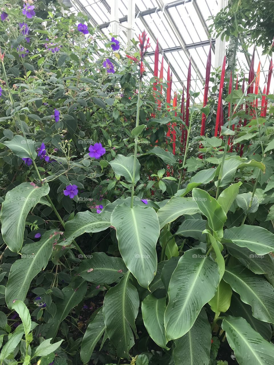 Conservatory Garden at Kew Gardens, London 