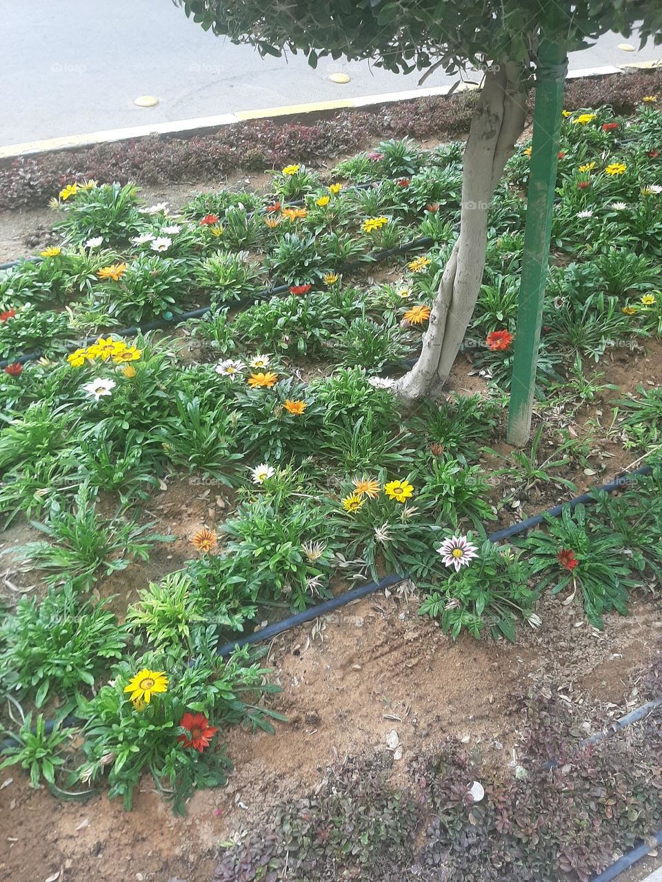 I need support I'm very poor