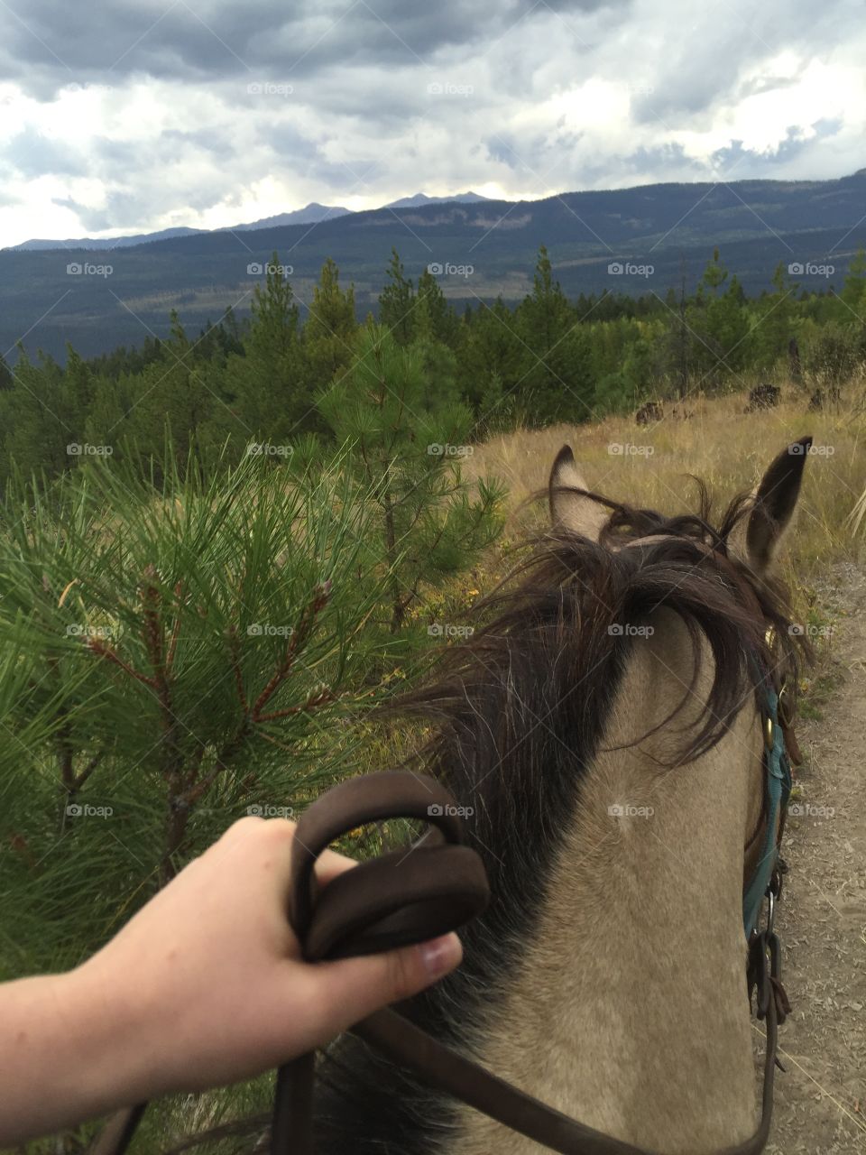 Horseback riding in BC