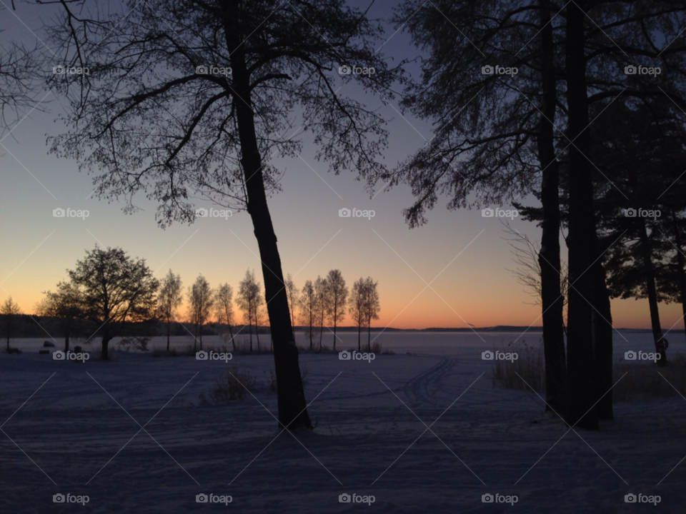 kungsängen snow winter trees by MagnusPm