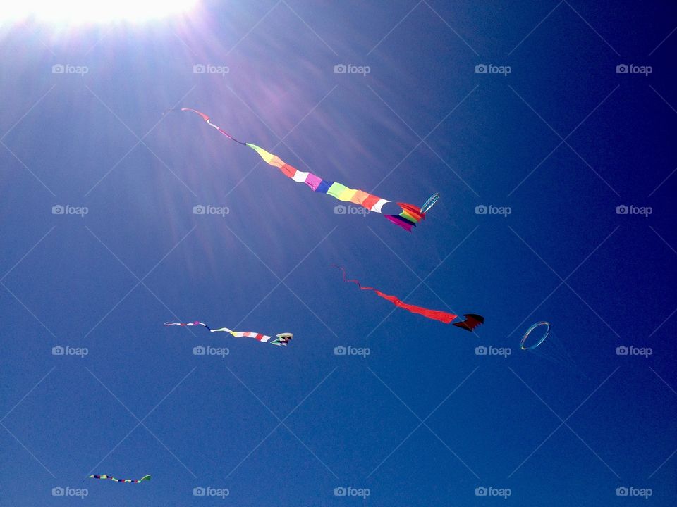 Kites at the beach 