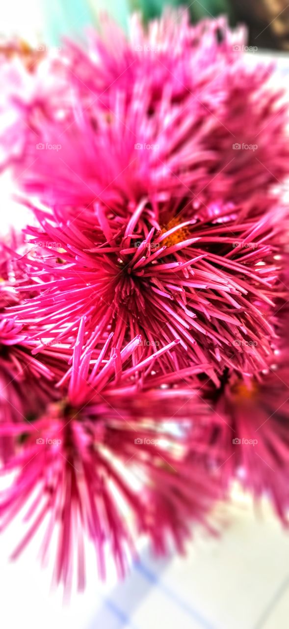 Красота природы