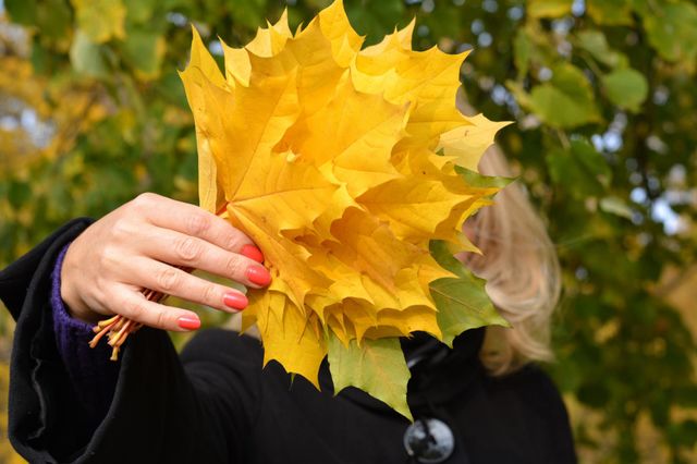 yellow autumn leaves in the female hand, outside, love autumn time