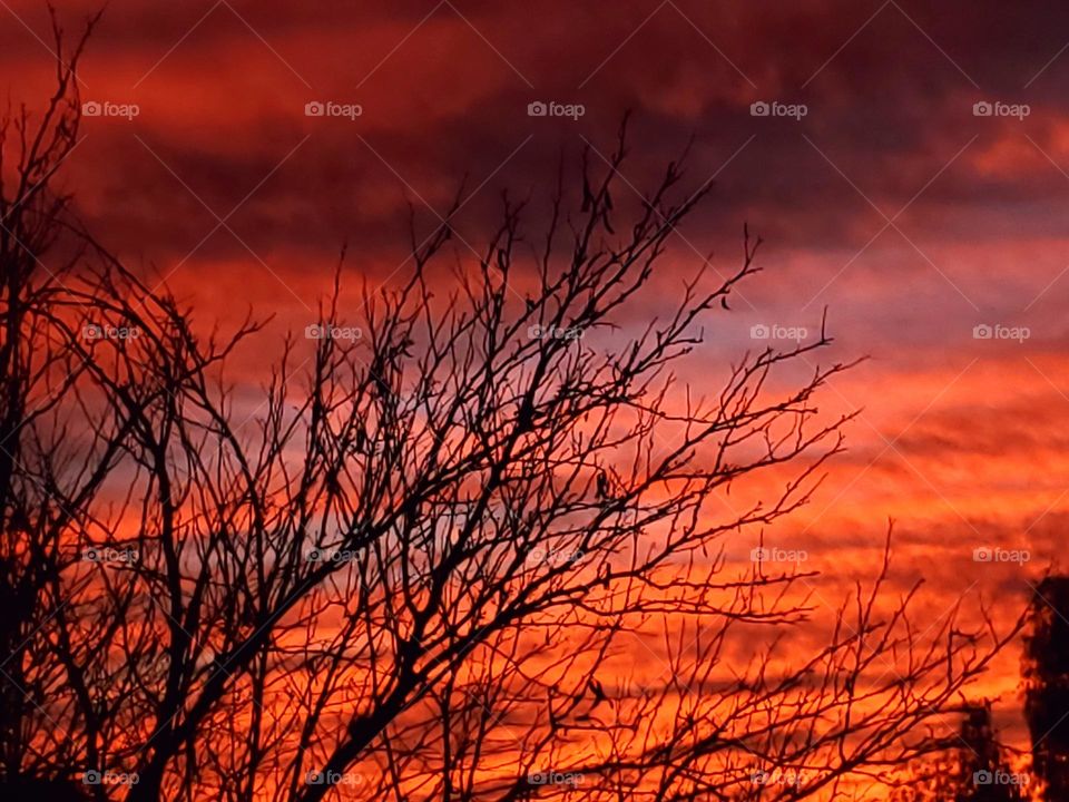 Arizona is known for beautiful sunsets and this one mimics fire in the sky