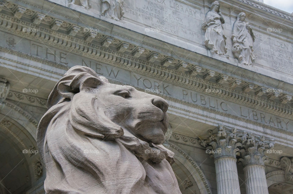 New York Public Library